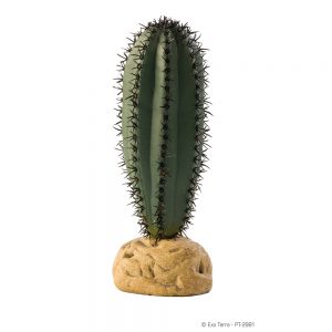 Exo Terra Saguaro Cactus