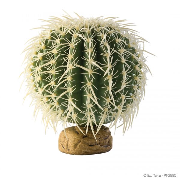 Exo Terra Barrel Cactus Large