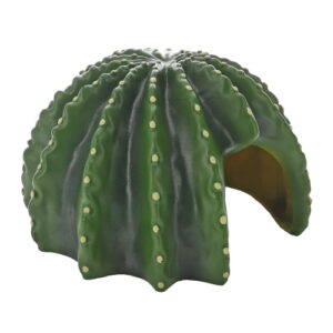 Hobby Cactus Home 4 - Kaktusluola