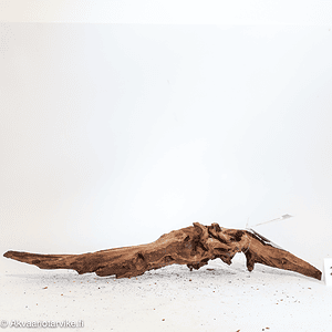 Mangrove Aged Wood M (26)