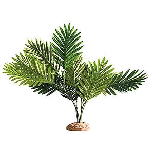 Hobby Palm - Tekokasvi palmu 57cm